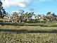 1459 Taralga Road, Tarlo NSW 2580