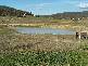 1459 Taralga Road, Tarlo NSW 2580