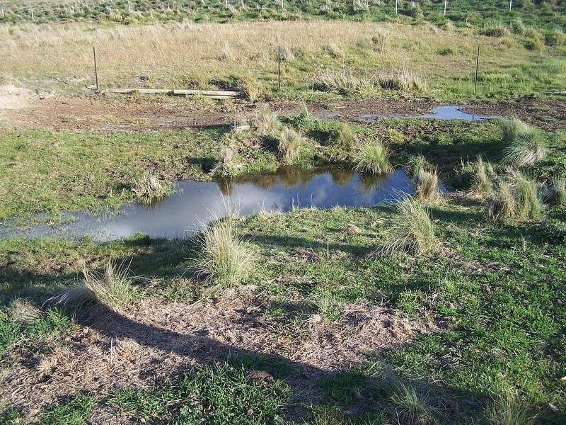 1459 Taralga Road, Tarlo NSW 2580