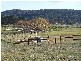 1459 Taralga Road, Tarlo NSW 2580