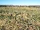 35 Monastery Drive, Goulburn NSW 2580