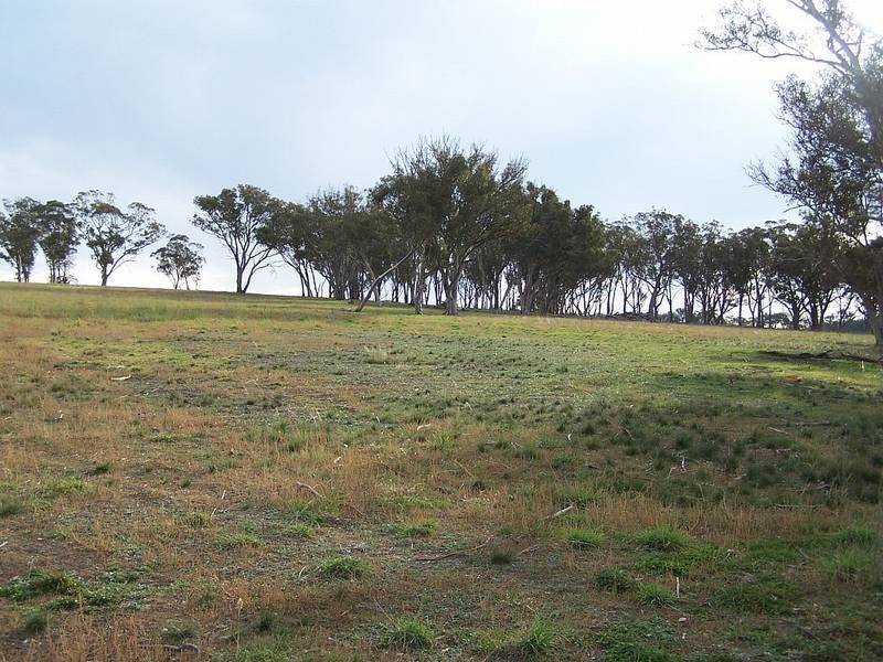 Lot 2 Holloways Road, Tarlo NSW 2580