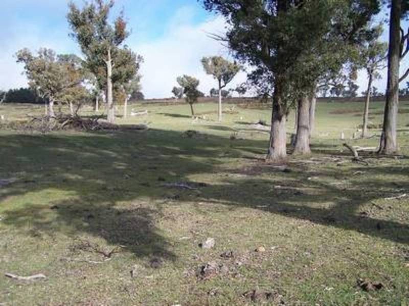 Lot 1 Peelwood Road, Laggan NSW 2583