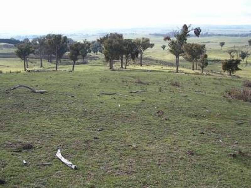 Lot 1 Peelwood Road, Laggan NSW 2583