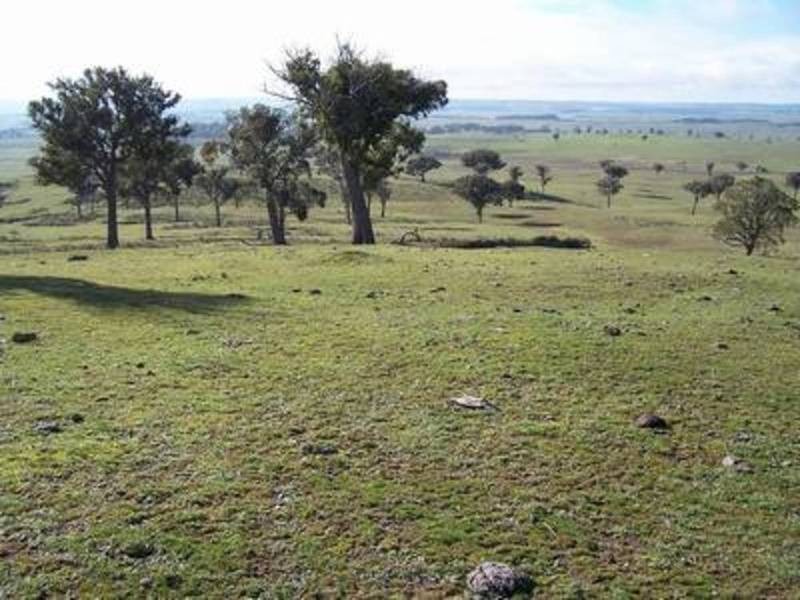 Lot 2 Peelwood Road, Laggan NSW 2583