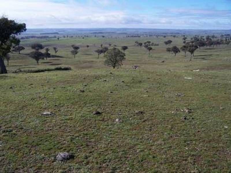 Lot 2 Peelwood Road, Laggan NSW 2583