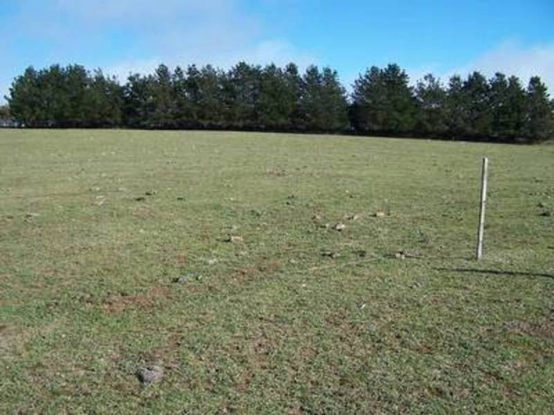 Lot 2 Peelwood Road, Laggan NSW 2583