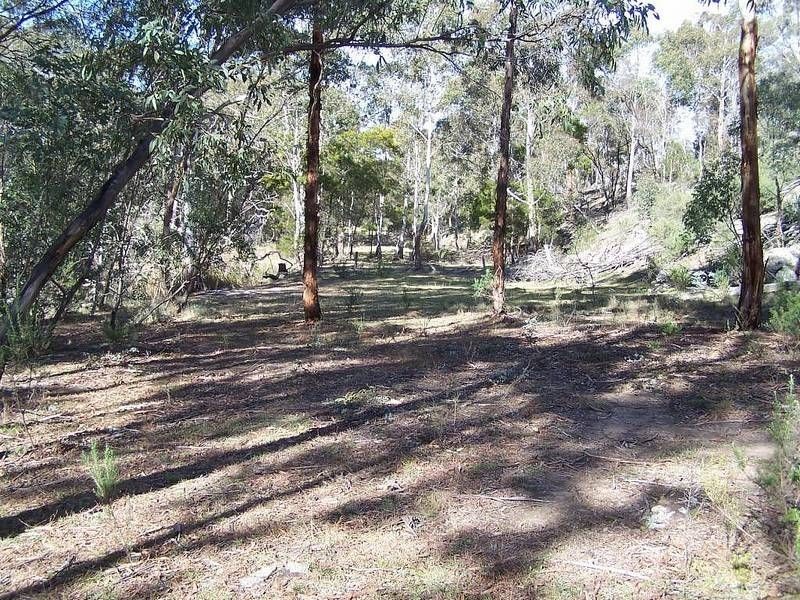 1301 Mountain Ash Road, Goulburn NSW 2580