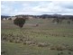 Lot 1 Covan Creek Road, Tarago NSW 2580
