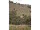 “Big Red Hill” Greenmantle Road, Bigga NSW 2583
