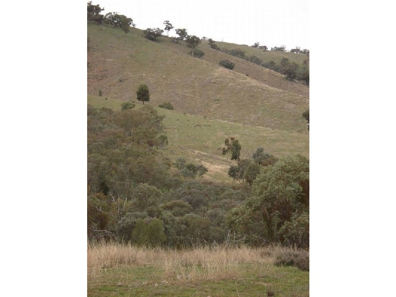 “Big Red Hill” Greenmantle Road, Bigga NSW 2583