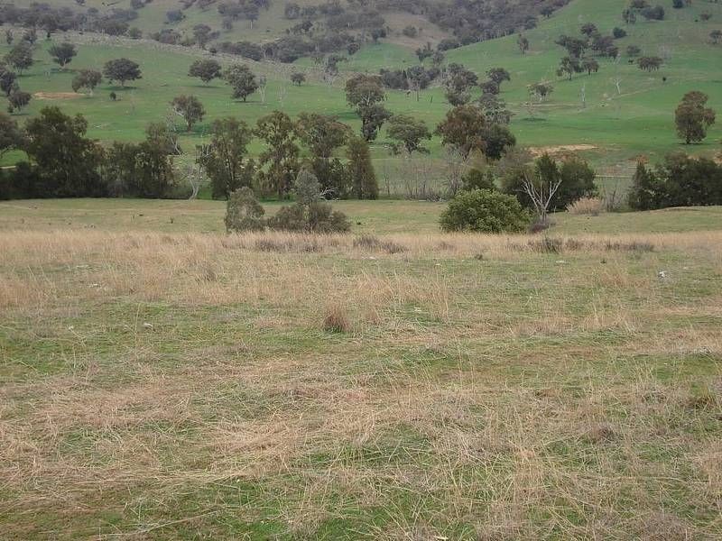 “Big Red Hill” Greenmantle Road, Bigga NSW 2583