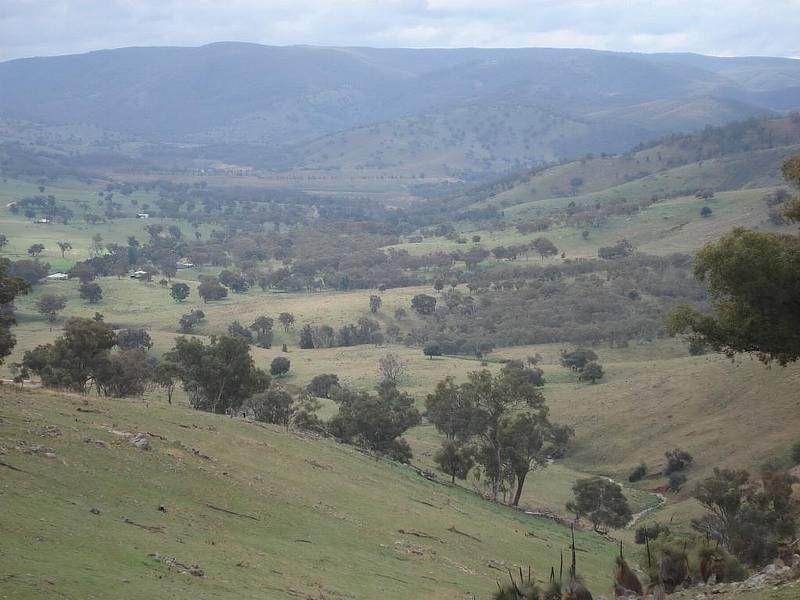 “Big Red Hill” Greenmantle Road, Bigga NSW 2583