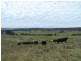 Lot 2 Taralga Road, Laggan NSW 2583