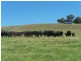 Lot 2 Taralga Road, Laggan NSW 2583