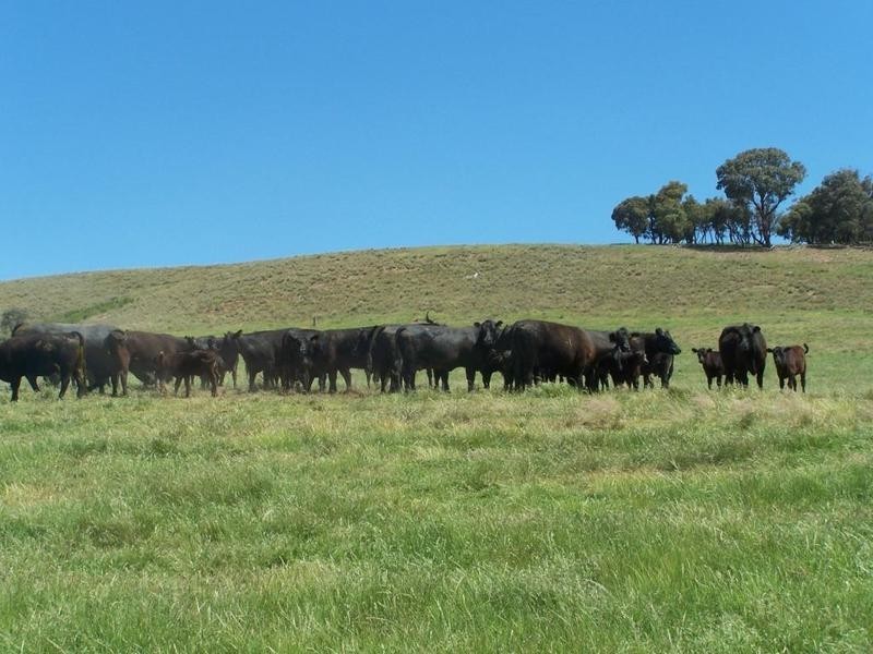 Lot 2 Taralga Road, Laggan NSW 2583