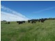 Lot 2 Taralga Road, Laggan NSW 2583