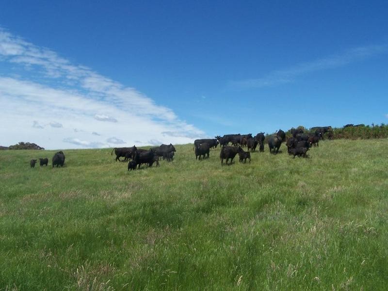 Lot 2 Taralga Road, Laggan NSW 2583