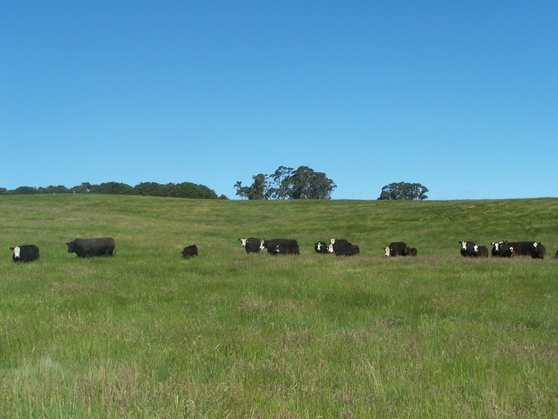 Lot 1 Taralga Road, Laggan NSW 2583