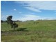 Lot 1 Taralga Road, Laggan NSW 2583