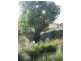 Lot 1 Taralga Road, Laggan NSW 2583