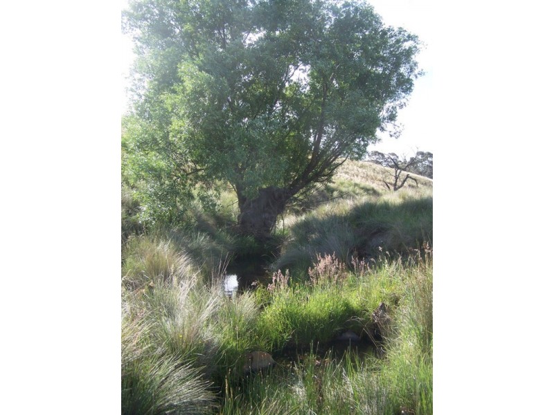 Lot 1 Taralga Road, Laggan NSW 2583