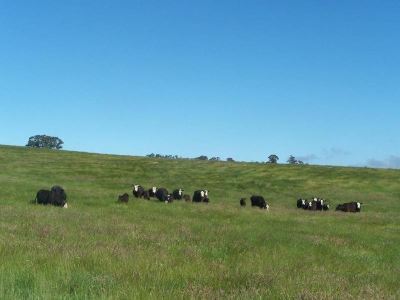 Lot 1 Taralga Road, Laggan NSW 2583