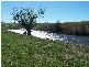 1193 Pomeroy Road, Goulburn NSW 2580