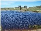 1320 Braidwood  Road, Tarago NSW 2580