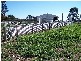 1320 Braidwood  Road, Tarago NSW 2580