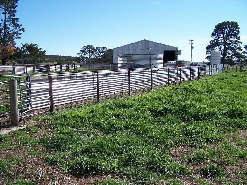 1320 Braidwood  Road, Tarago NSW 2580