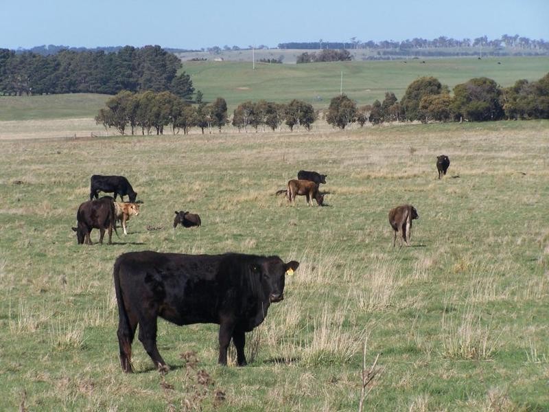 “Birubi Park” Third Creek Road, Crookwell NSW 2583