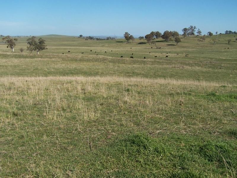 “Birubi Park” Third Creek Road, Crookwell NSW 2583