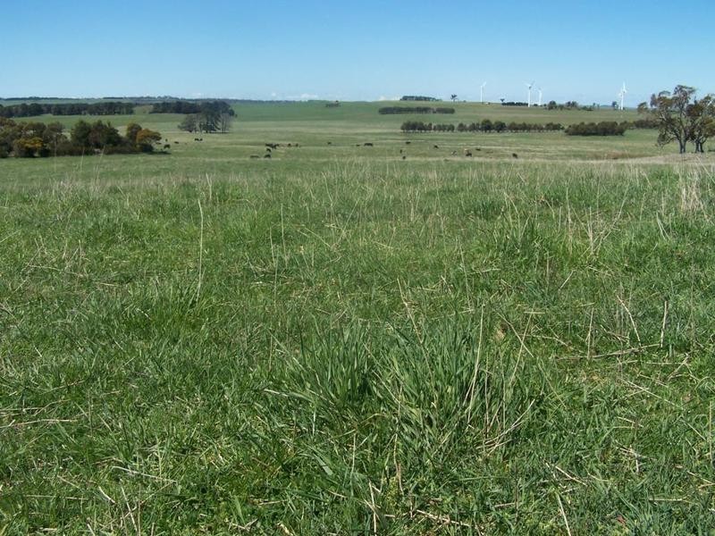 “Birubi Park” Third Creek Road, Crookwell NSW 2583