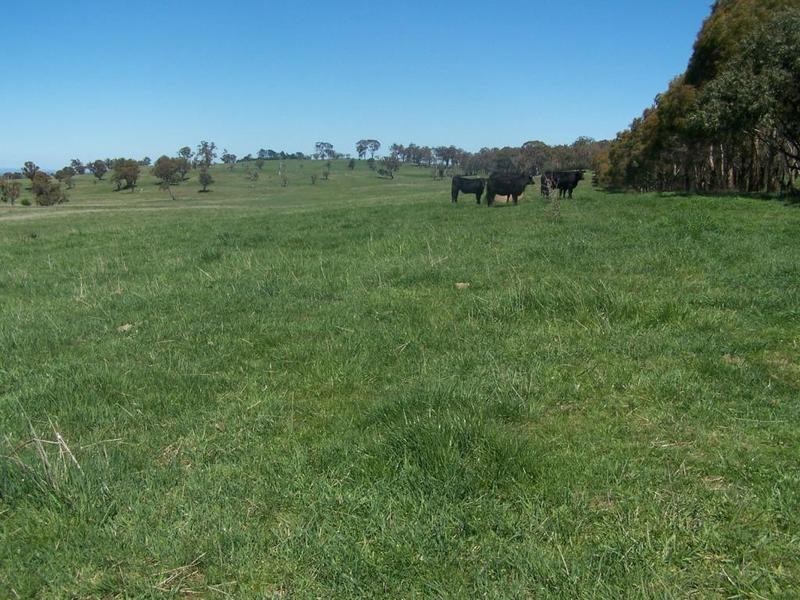 “Birubi Park” Third Creek Road, Crookwell NSW 2583
