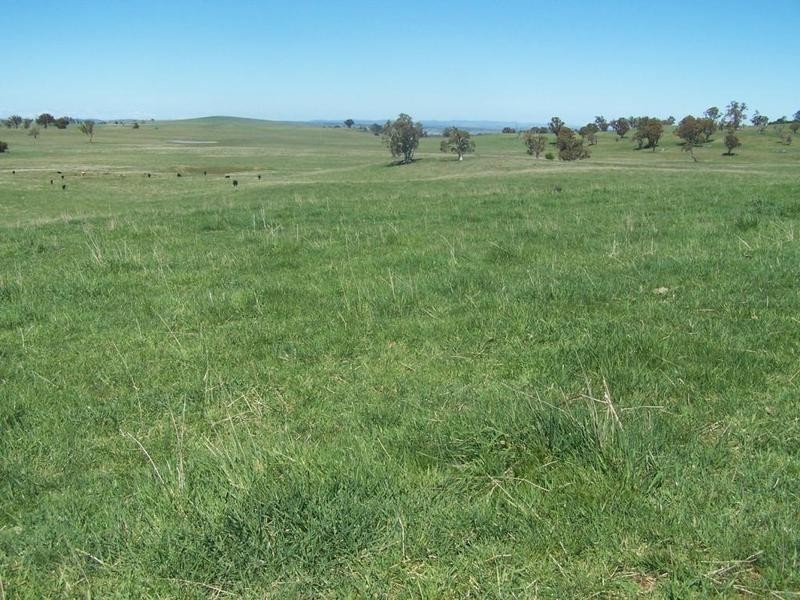 “Birubi Park” Third Creek Road, Crookwell NSW 2583