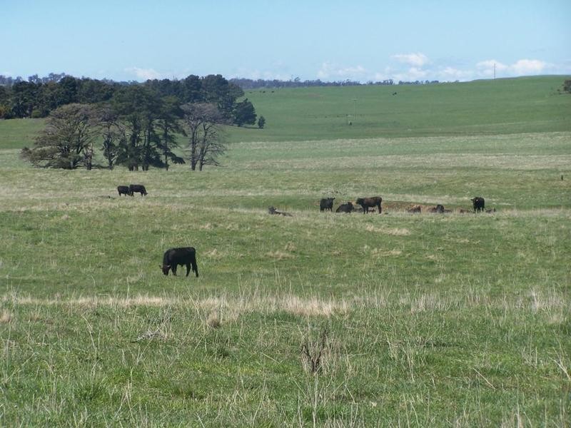 “Birubi Park” Third Creek Road, Crookwell NSW 2583