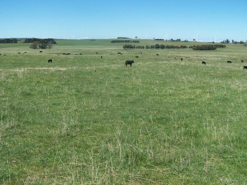 “Birubi Park” Third Creek Road, Crookwell NSW 2583