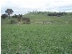 738 Jerrara Road, Crookwell NSW 2583
