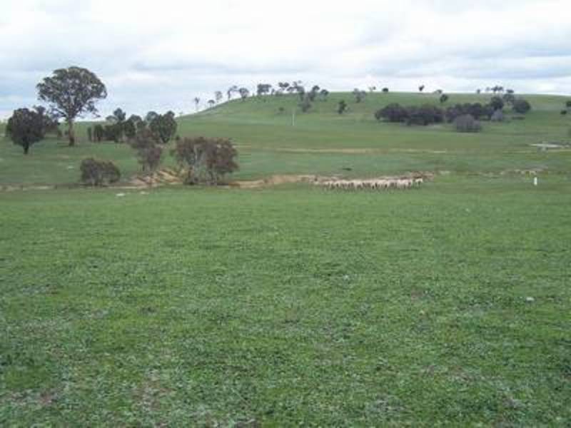 738 Jerrara Road, Crookwell NSW 2583