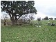 738 Jerrara Road, Crookwell NSW 2583