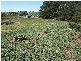 2487 Taralga Road, Laggan NSW 2583