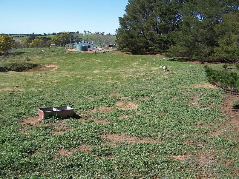 2487 Taralga Road, Laggan NSW 2583