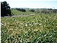 2487 Taralga Road, Laggan NSW 2583