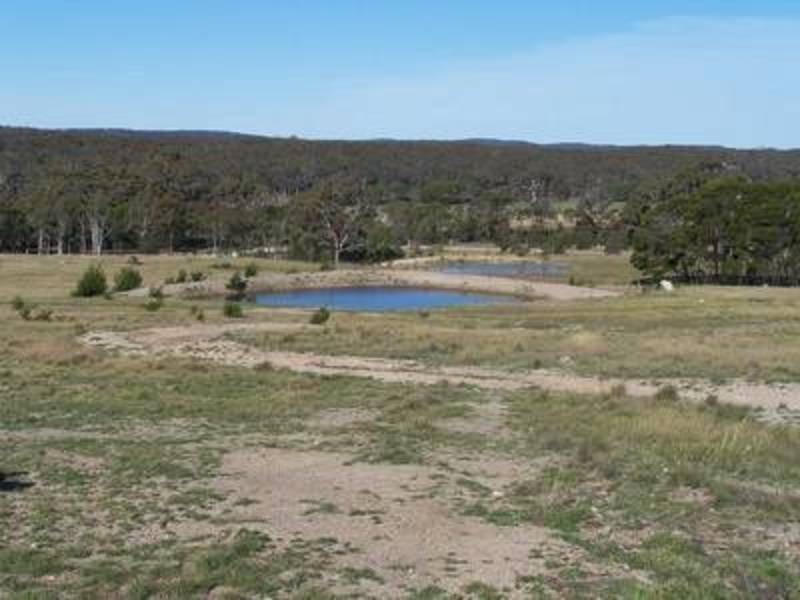 377 Forest Siding Road, Middle Arm NSW 2580