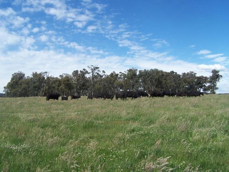 Lot 3 Taralga Road, Laggan NSW 2583