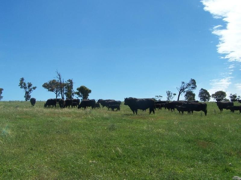 Lot 3 Taralga Road, Laggan NSW 2583