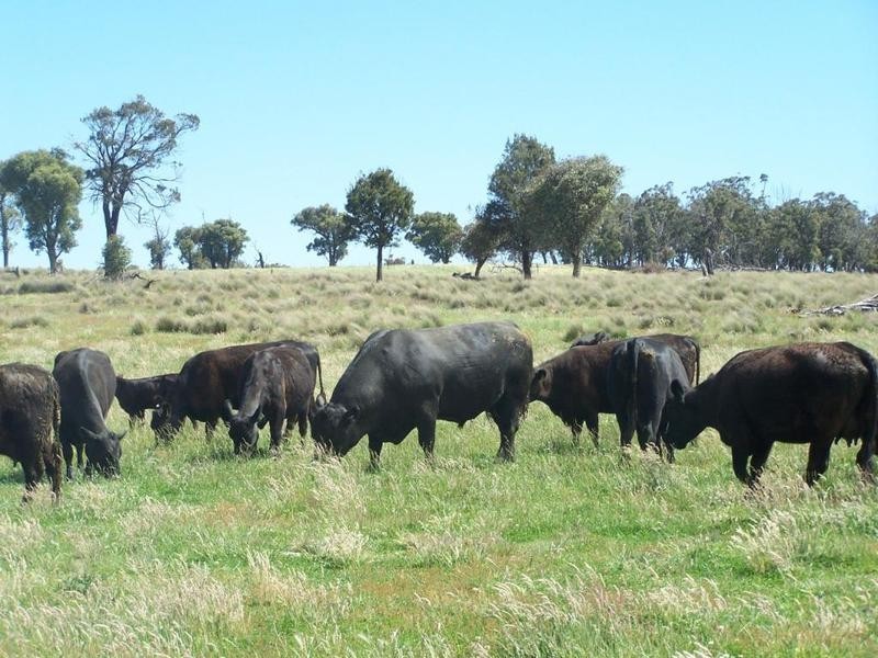 Lot 3 Taralga Road, Laggan NSW 2583