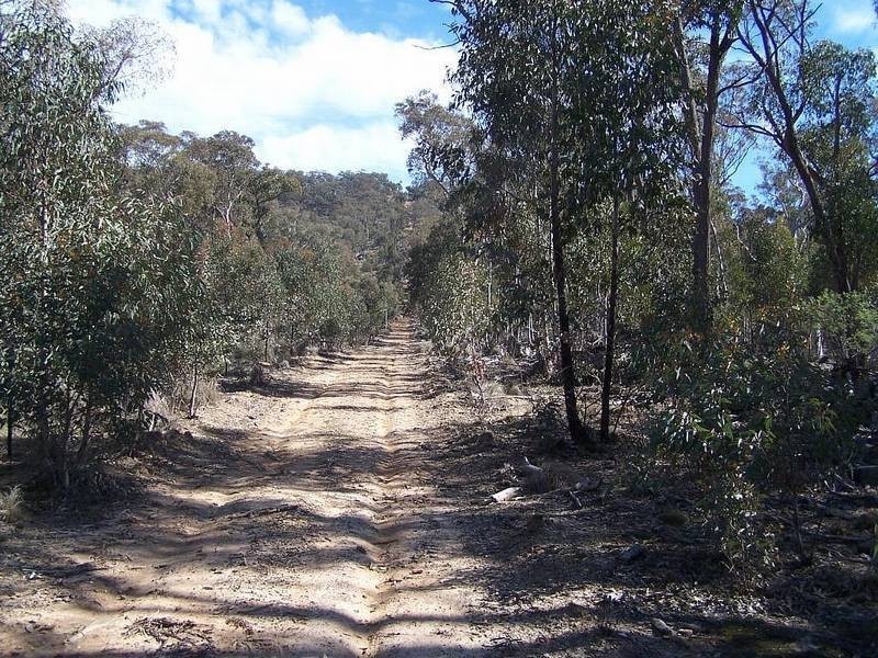 Lot 3 Junction Point Road, Binda NSW 2583