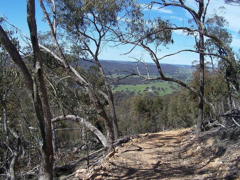 Lot 3 Junction Point Road, Binda NSW 2583